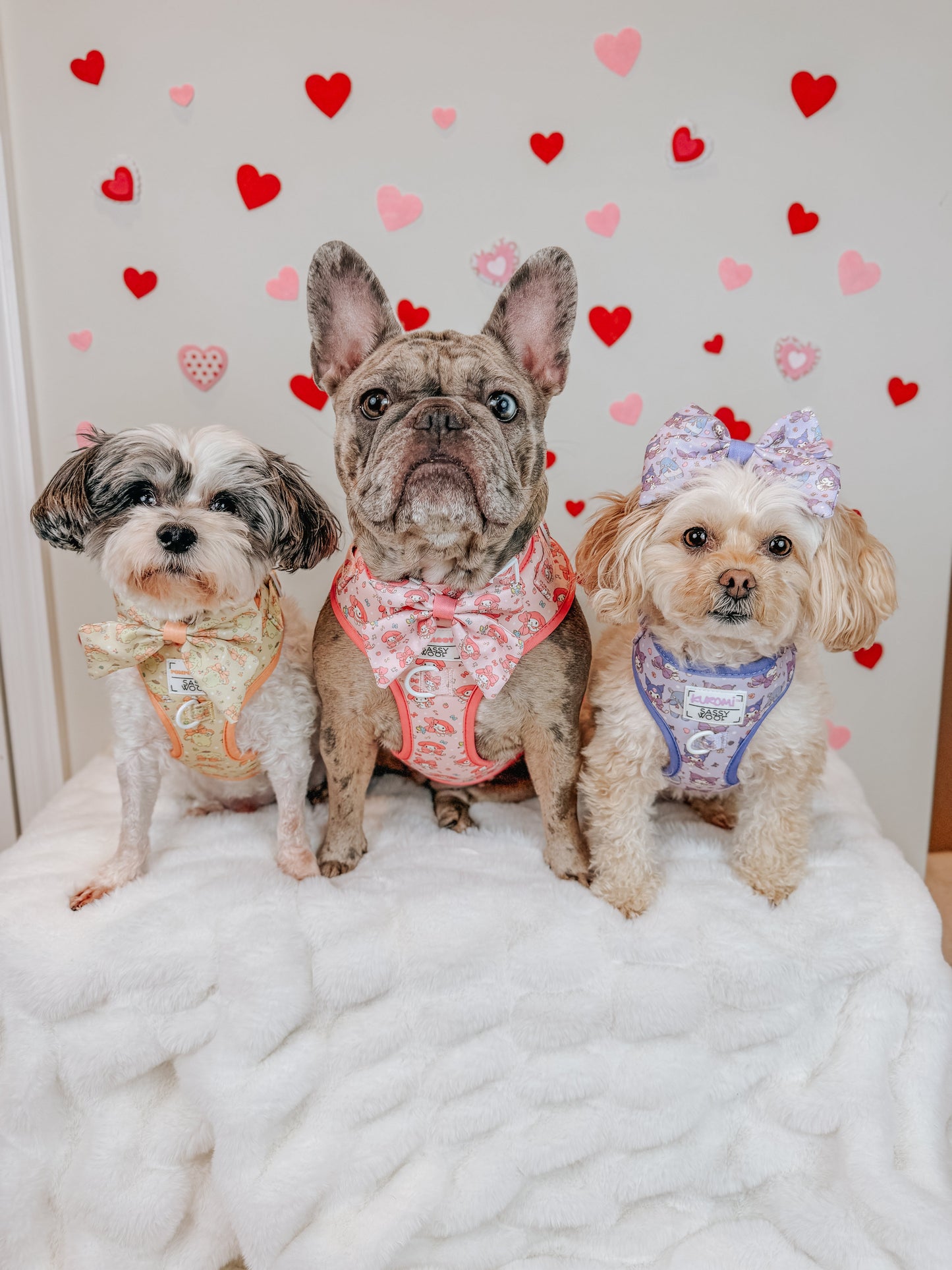 Dog Four Piece Bundle - My Melody™