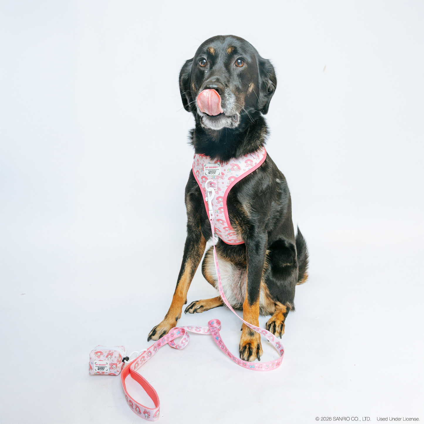 Dog Four Piece Bundle - My Melody™
